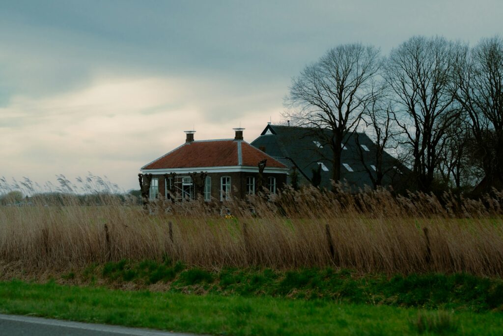 Yoga in Friesland: Ontspanning te Midden van Water, Weiden en Rust