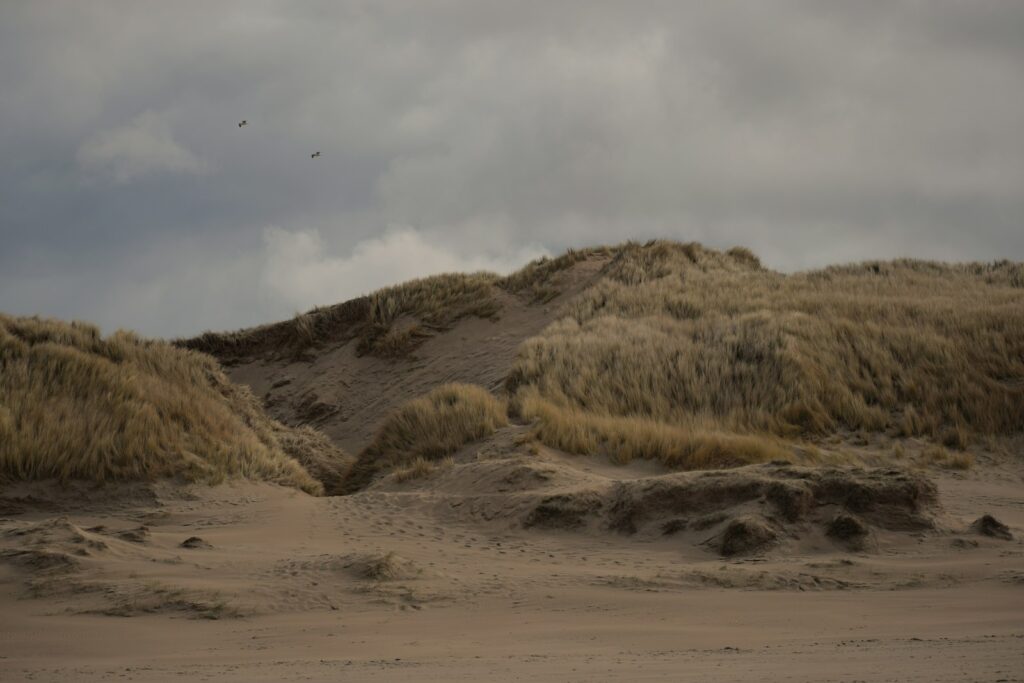 Yoga in Castricum: Ontspanning en Balans aan de Kust